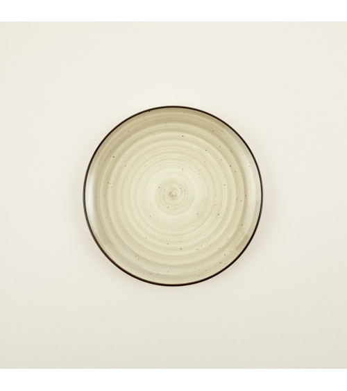 Plato Llano / Flat Plate