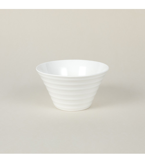 Ensaladera vajilla colección Fine China Viento de Eurodra en Valladolid